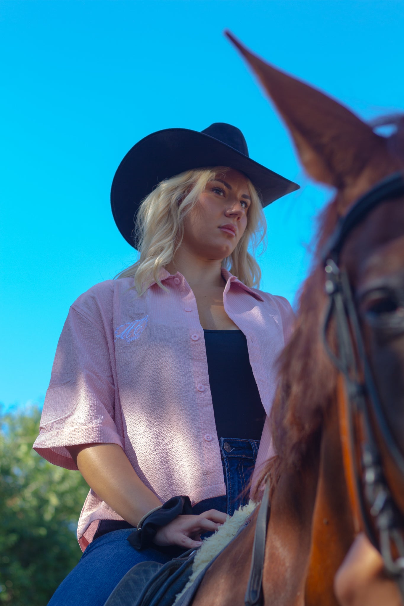 Camisa western Rosa