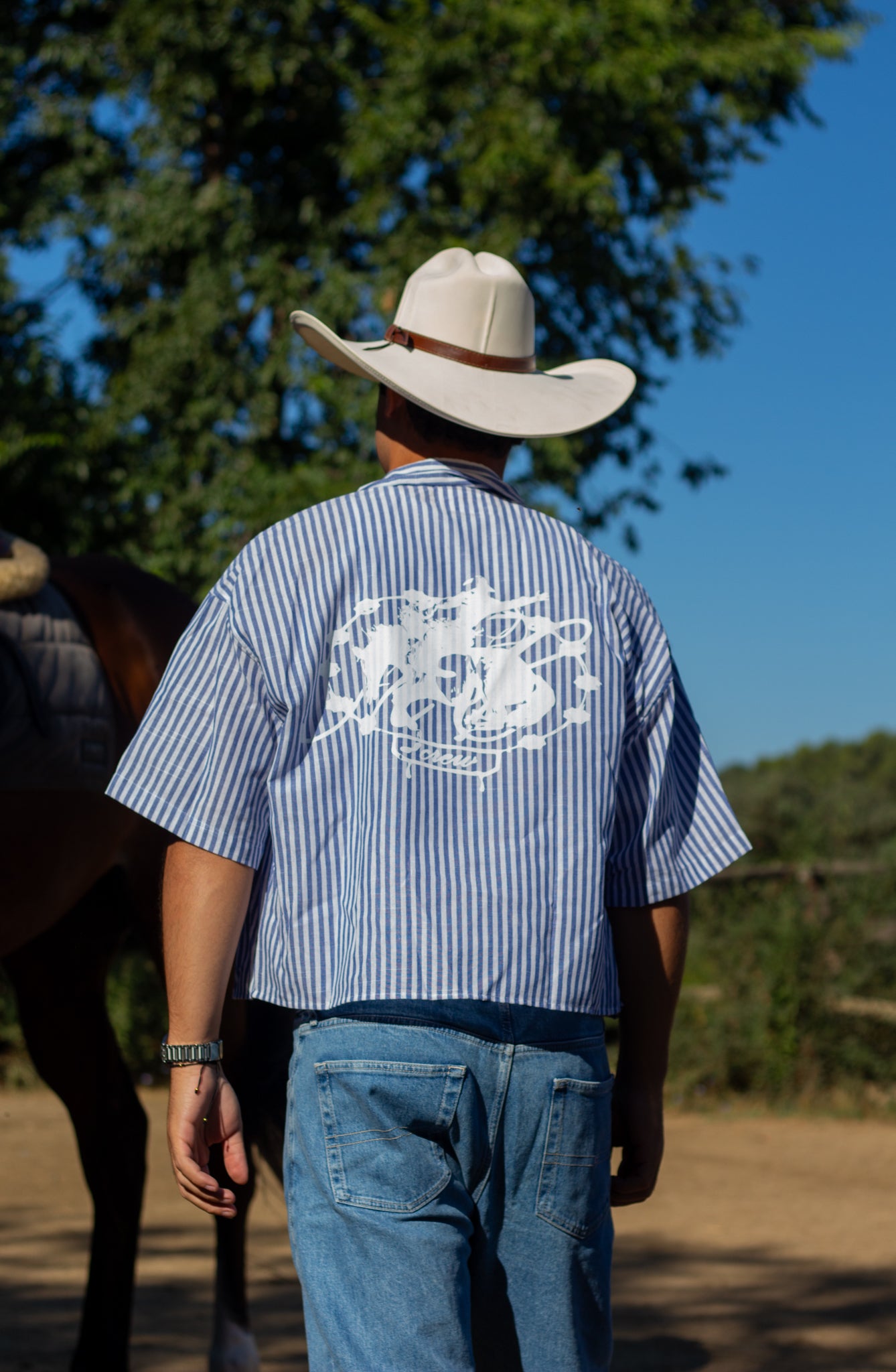 Camisa rodeo azul