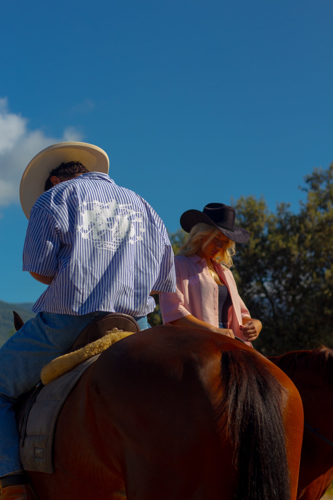 Camisa rodeo azul