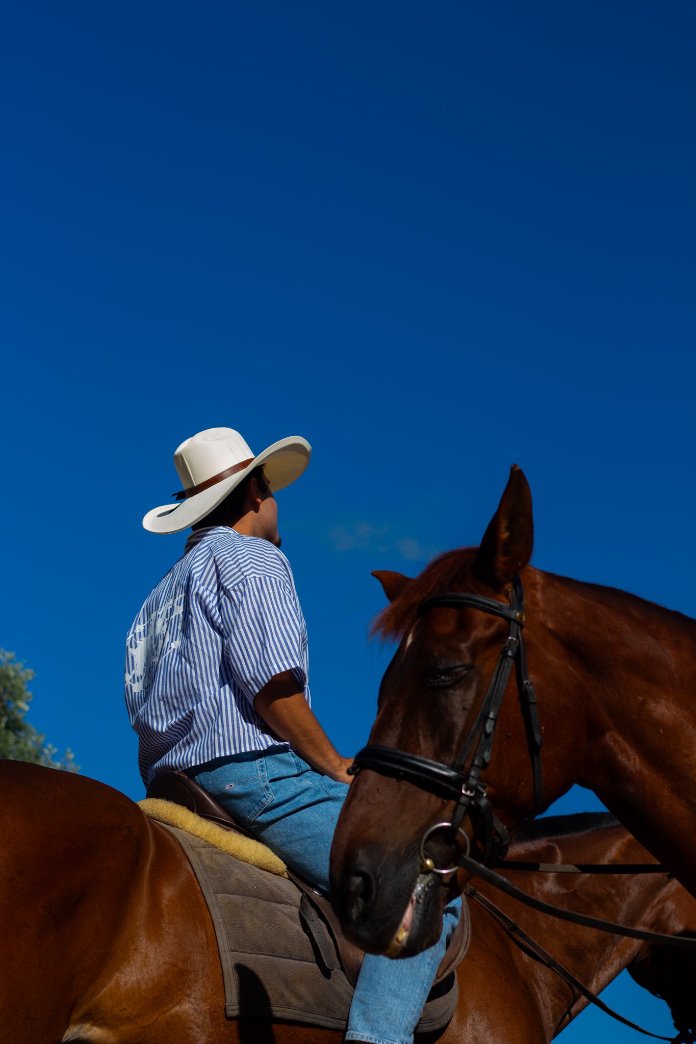 Camisa rodeo azul