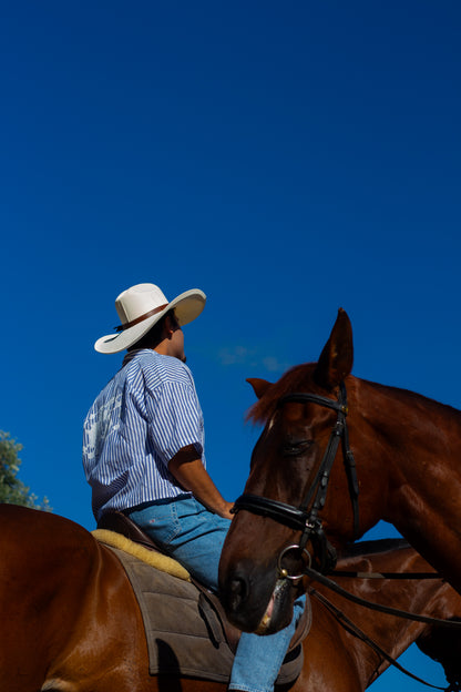 Camisa rodeo azul