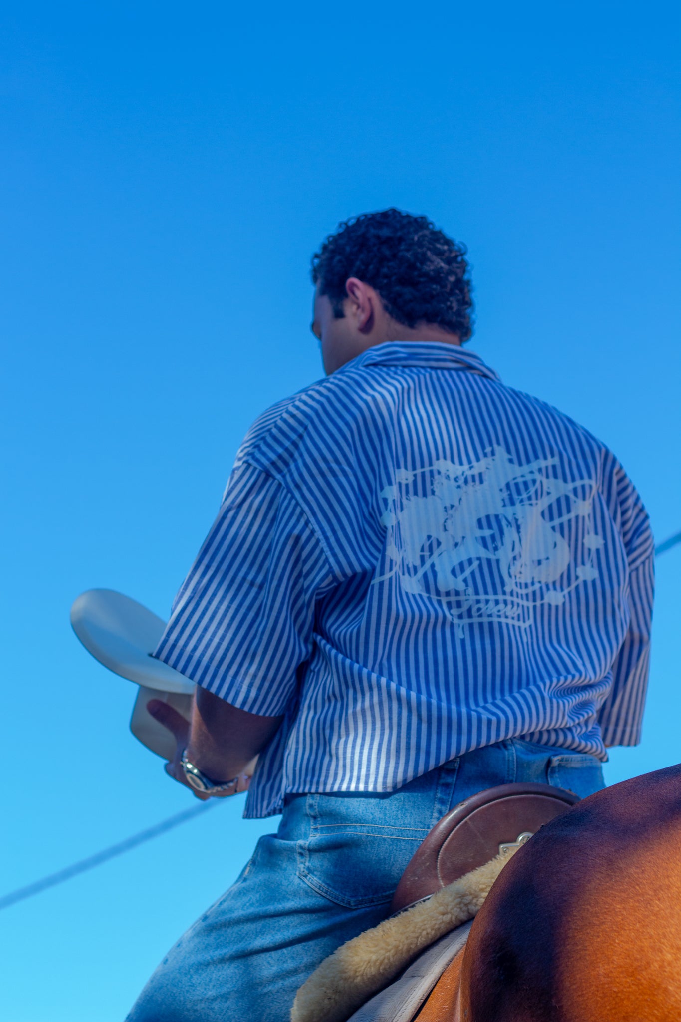 Camisa rodeo azul